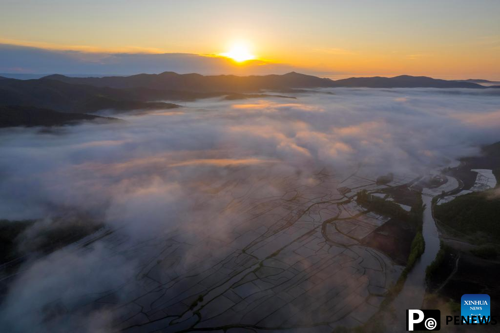 In pics: fog over paddy fields in Hailin City, NE China