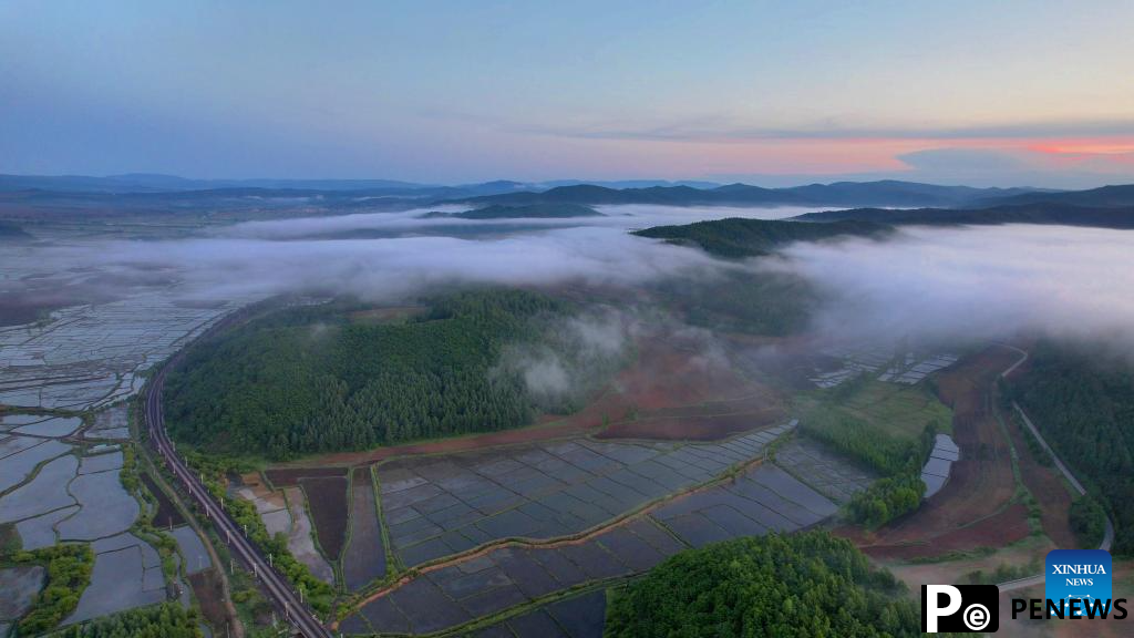In pics: fog over paddy fields in Hailin City, NE China