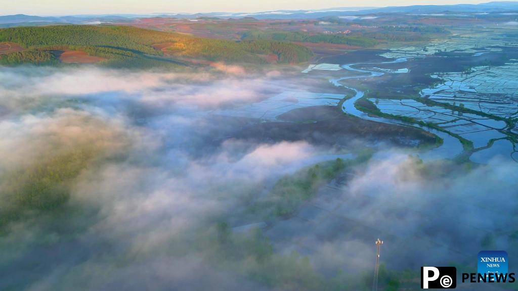 In pics: fog over paddy fields in Hailin City, NE China