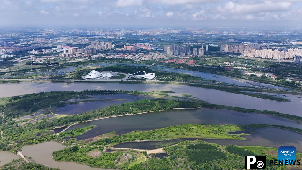 Aerial view of Heilongjiang Taiyangdao National Wetland Park