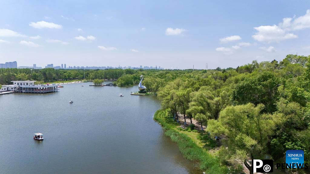 Aerial view of Heilongjiang Taiyangdao National Wetland Park