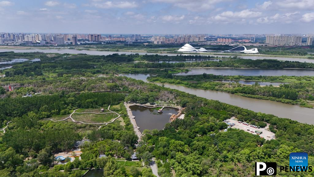 Aerial view of Heilongjiang Taiyangdao National Wetland Park