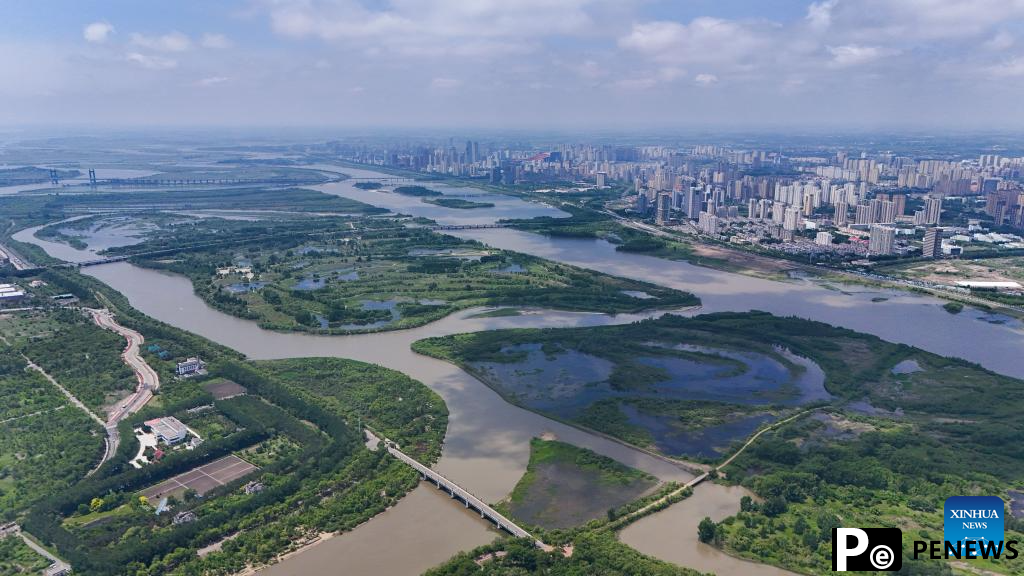 Aerial view of Heilongjiang Taiyangdao National Wetland Park