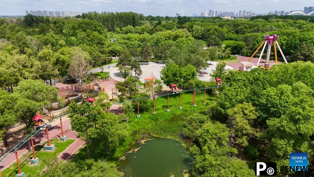 Aerial view of Heilongjiang Taiyangdao National Wetland Park