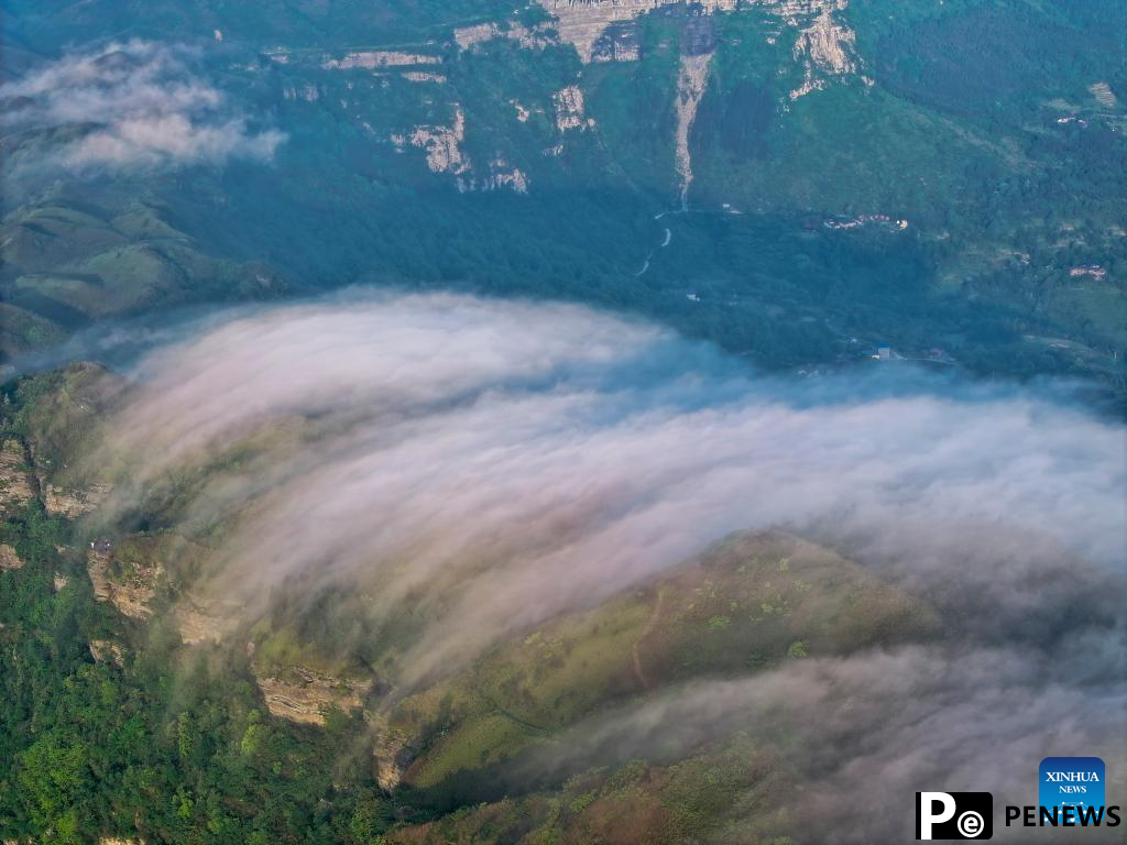 Scenery of sea of clouds at Jinfo Mountain, SW China