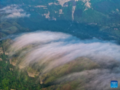 Scenery of sea of clouds at Jinfo Mountain, SW China