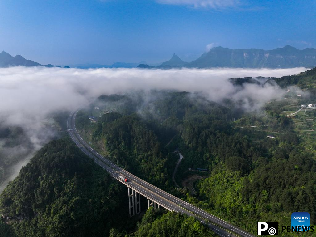 Scenery of sea of clouds at Jinfo Mountain, SW China