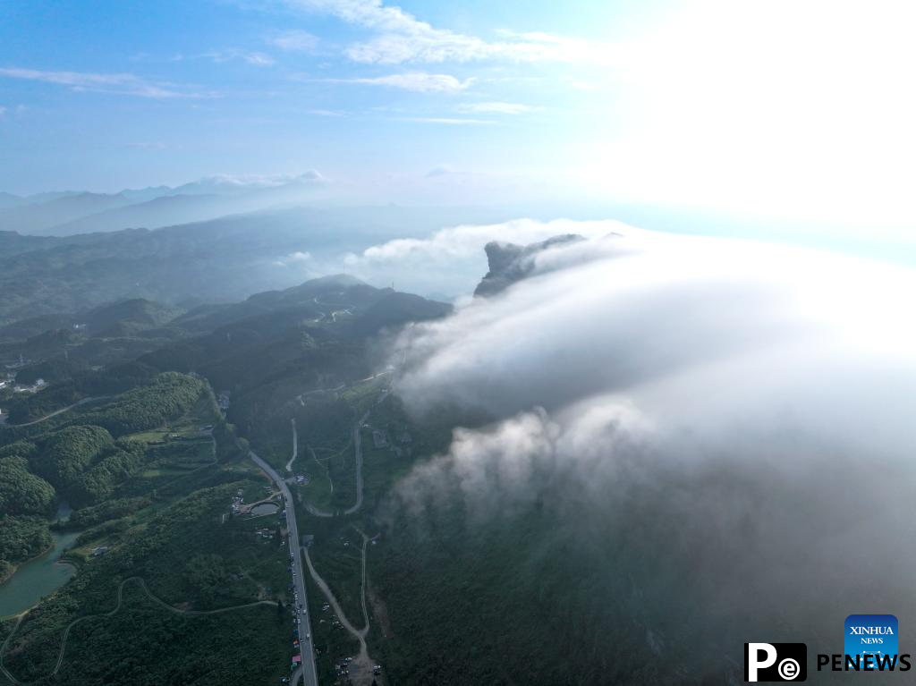 Scenery of sea of clouds at Jinfo Mountain, SW China