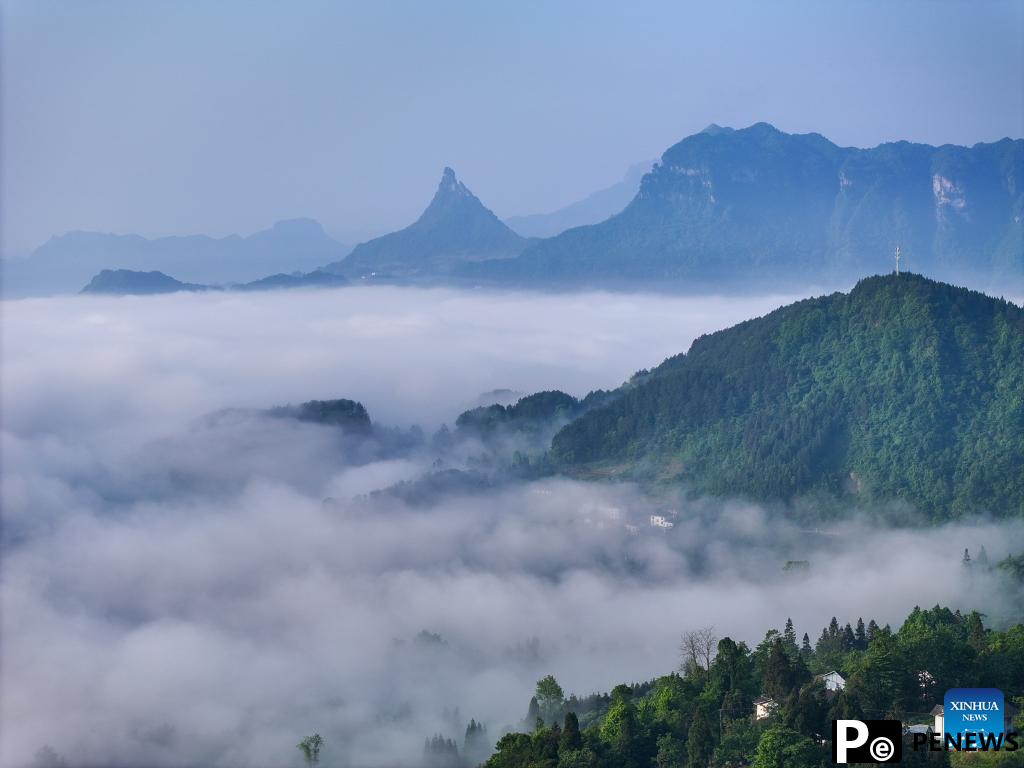 Scenery of sea of clouds at Jinfo Mountain, SW China