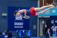 In pics: final matches at FIG Dobro World Cup