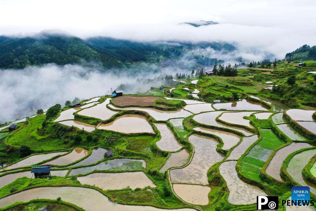 Aerial view of terrace in SW China