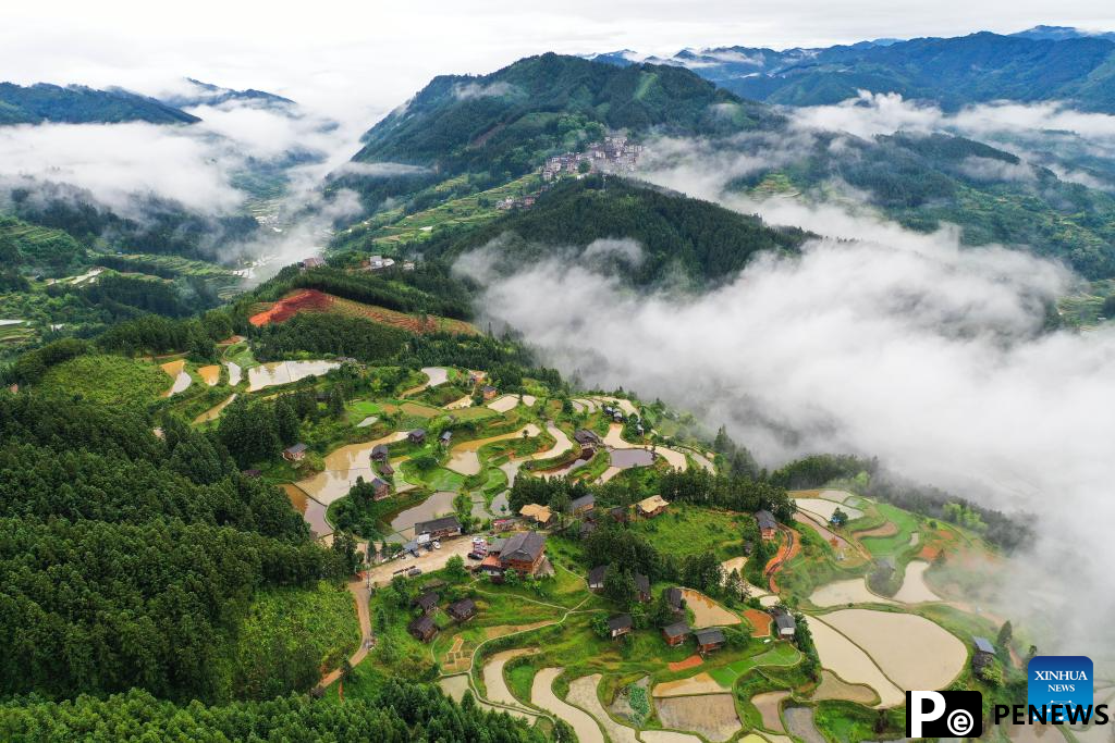 Aerial view of terrace in SW China