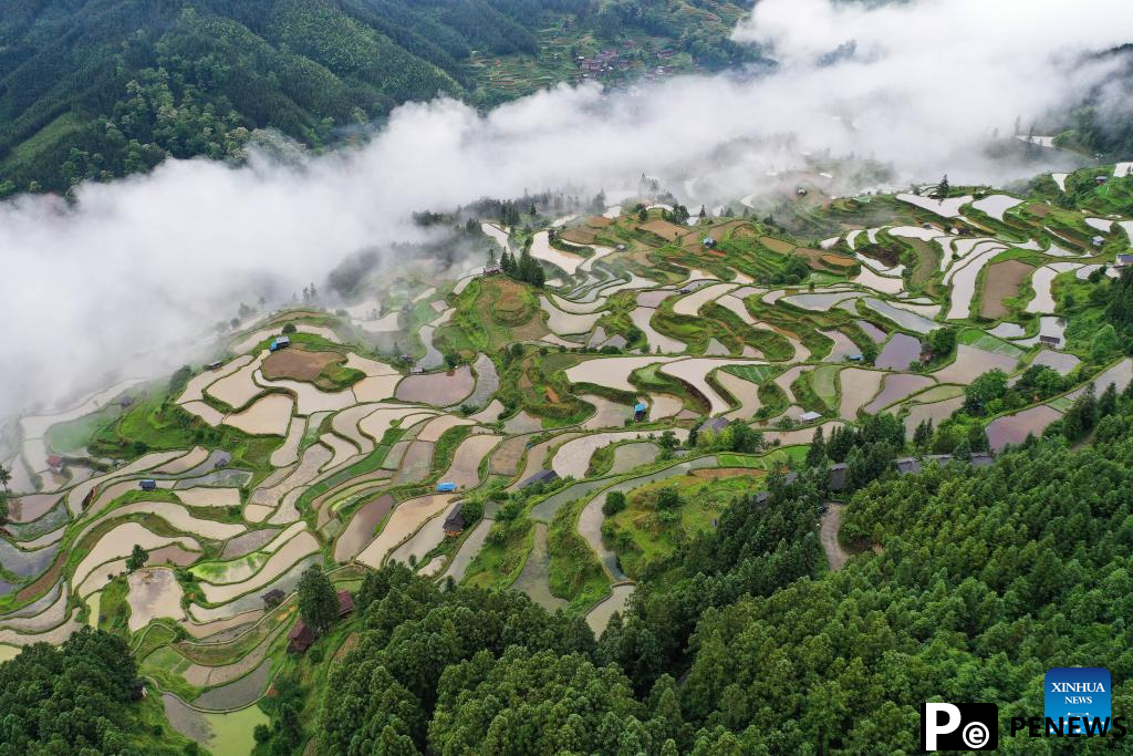 Aerial view of terrace in SW China