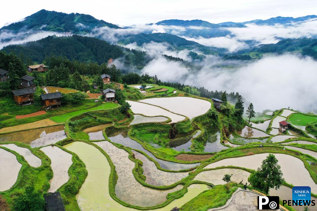 Aerial view of terrace in SW China