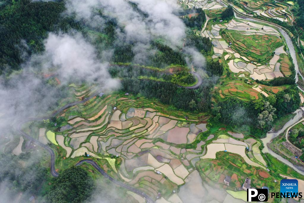 Aerial view of terrace in SW China