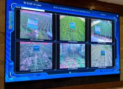 Discover automated production of liquid herbal formula in SW China's Chongqing