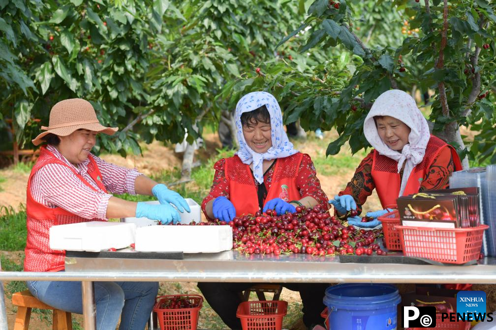 Town in E China vigorously develops ecological tourism
