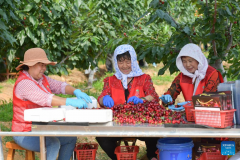 Town in E China vigorously develops ecological tourism
