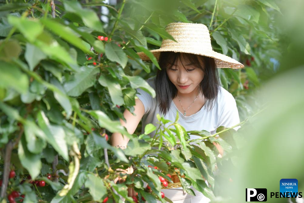 Town in E China vigorously develops ecological tourism