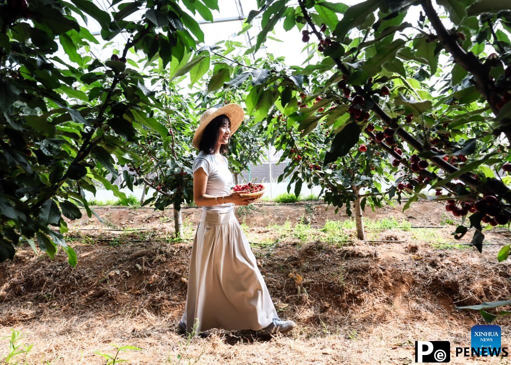 Town in E China vigorously develops ecological tourism