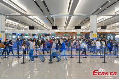 Hong Kong-Zhuhai-Macao Bridge receives over 10 mln passenger trips