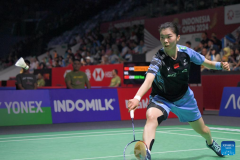 Highlights of 2024 Indonesia Open badminton tournament