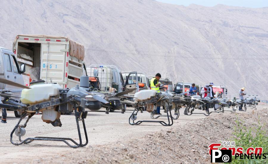 Drones carry out plant protection in cotton fields in Xinjiang