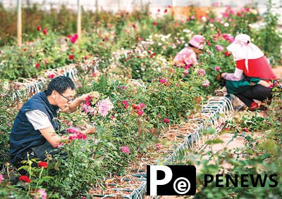 Space-bred seeds enter Chinese people