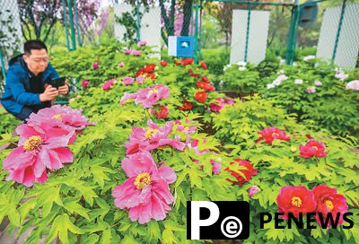 Space-bred seeds enter Chinese people