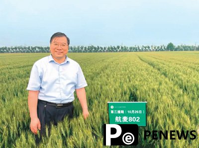 Space-bred seeds enter Chinese people