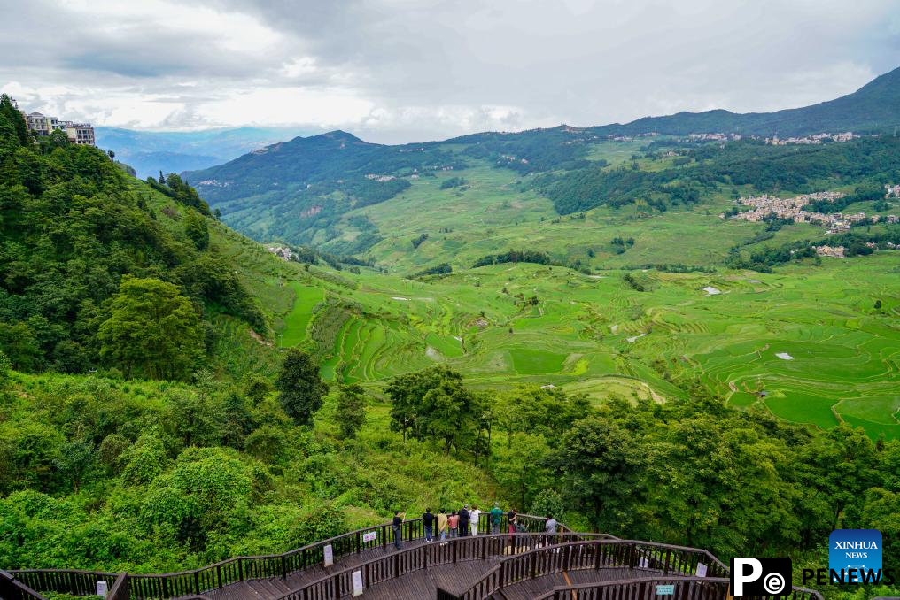 View of Hani terraced fields in Yunnan
