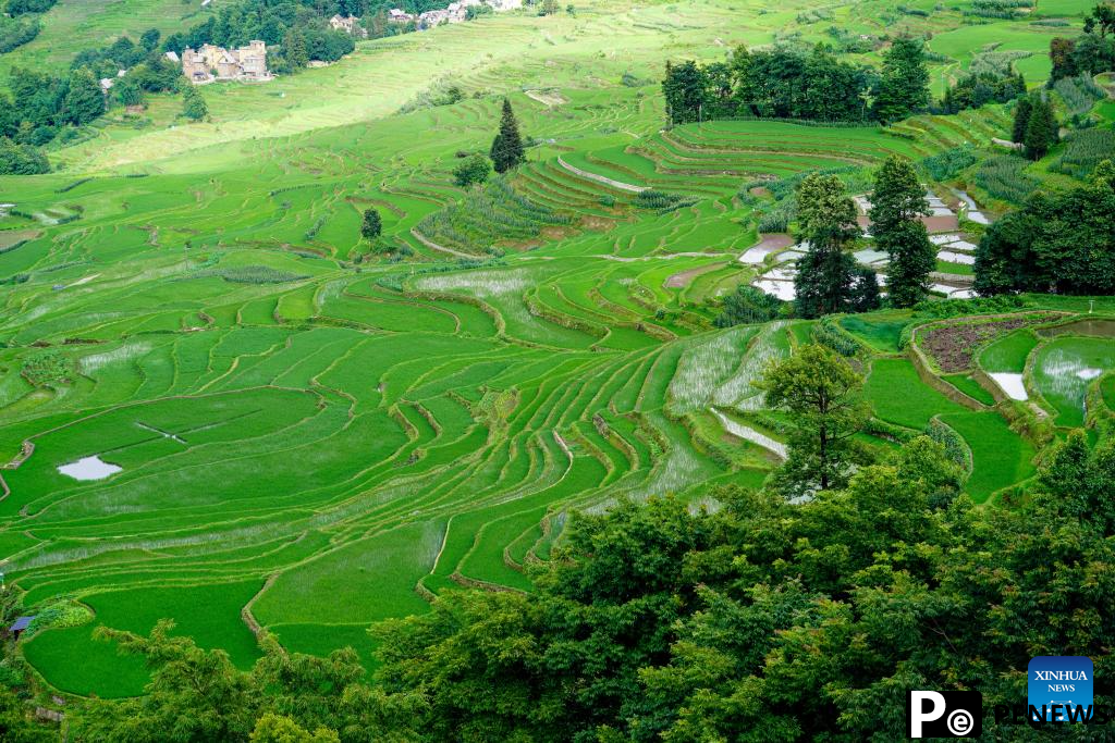 View of Hani terraced fields in Yunnan