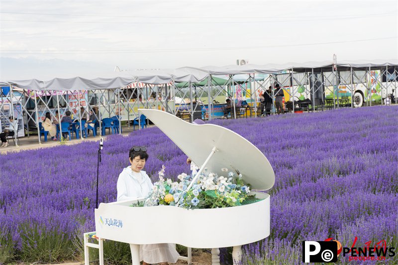 Lavender park brings economic, social development in NW China’s Xinjiang