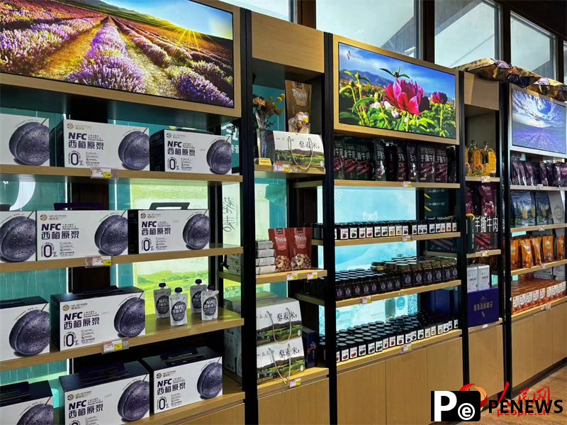 Lavender park brings economic, social development in NW China’s Xinjiang