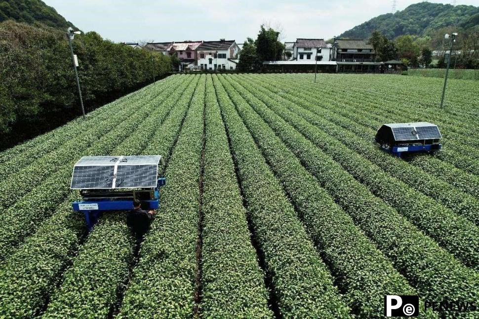 AI industry sees prosperous future in China
