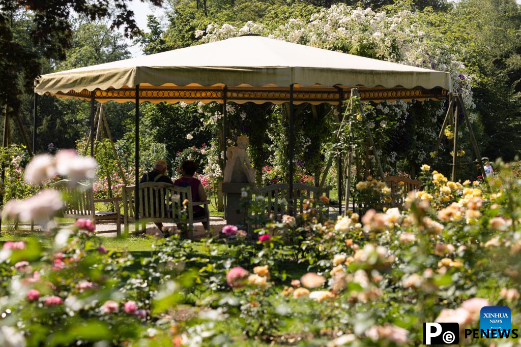 Rose cultivars on display at Volcji Potok Arboretum in Slovenia