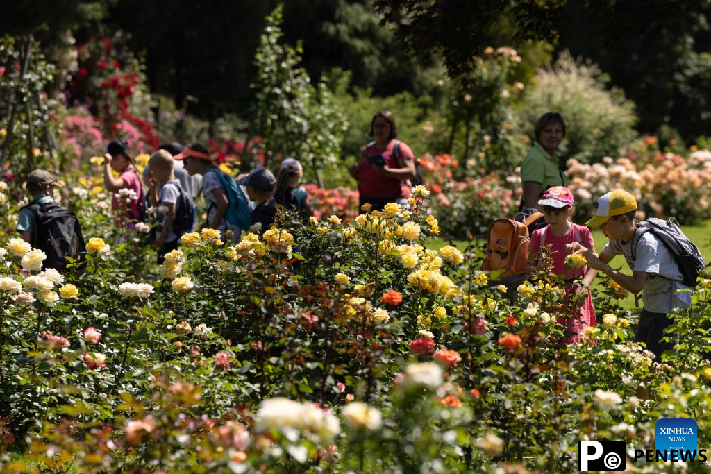 Rose cultivars on display at Volcji Potok Arboretum in Slovenia
