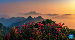 China's central region endeavours to protect eco-environment