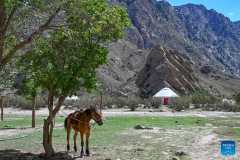 7-day event featuring hiking and camping launched in Baicheng, China's Xinjiang