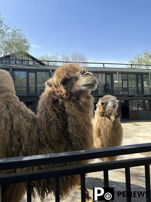 Exploring the enigmatic charms of Urumqi: A journey through time and culture