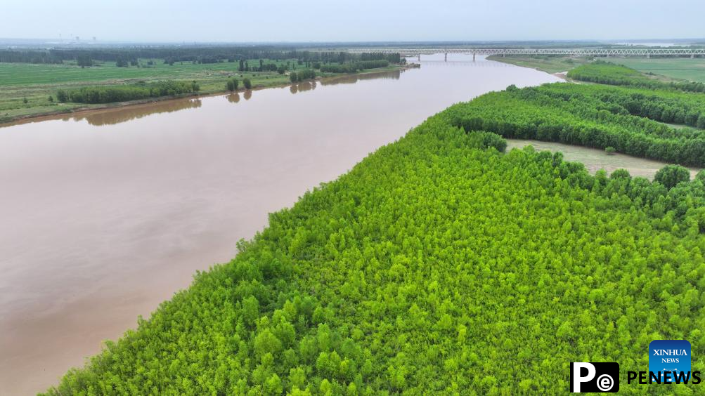 Scenery of Yellow River in Ningxia, NW China