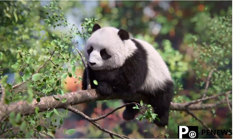 China unveils world’s 1st AI giant panda living in a ‘cloud habitat’