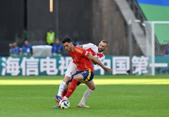 Chinese fans abuzz over Chinese ads presence at Euro 2024
