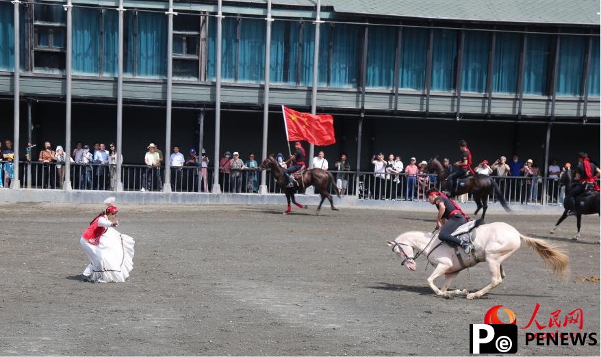 Akhal-Teke horses draw tourists, boost local economy in NW China