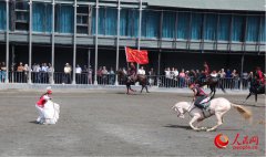 Akhal-Teke horses draw tourists, boost local economy in NW China's Xinjiang