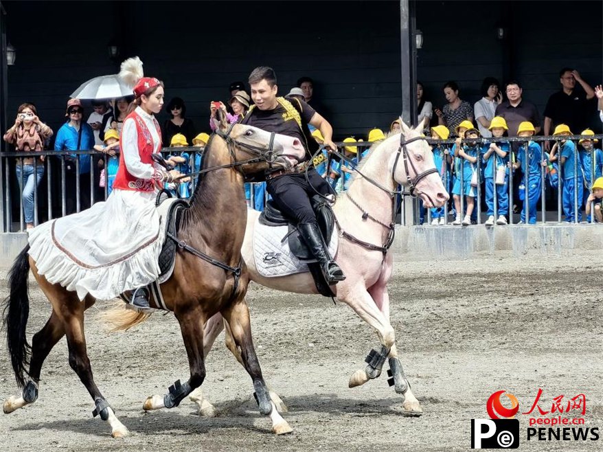 Akhal-Teke horses draw tourists, boost local economy in NW China