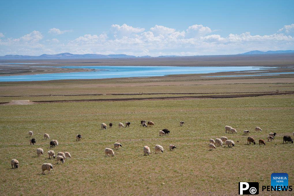 Scenery of Serling Tso Lake in SW China