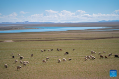 Scenery of Serling Tso Lake in SW China's Xizang