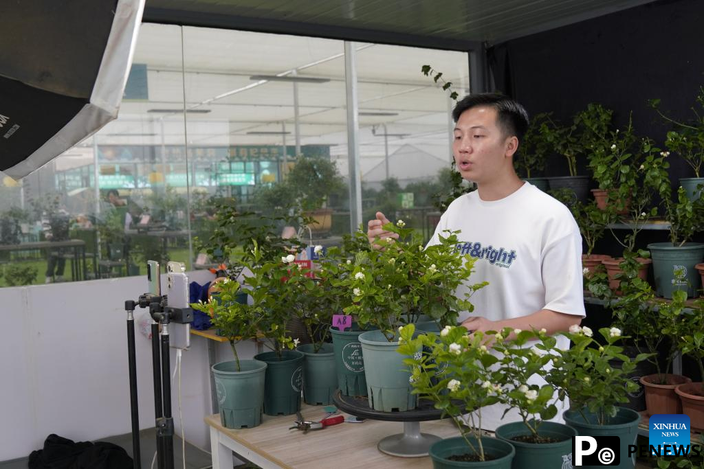 Jasmine city blossoms through e-commerce businesses