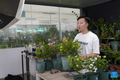 Jasmine city blossoms through e-commerce businesses